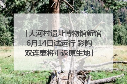 大河村遗址博物馆新馆6月14日试运行 彩陶双连壶将重返原生地