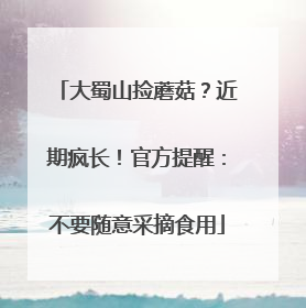 大蜀山捡蘑菇？近期疯长！官方提醒：不要随意采摘食用
