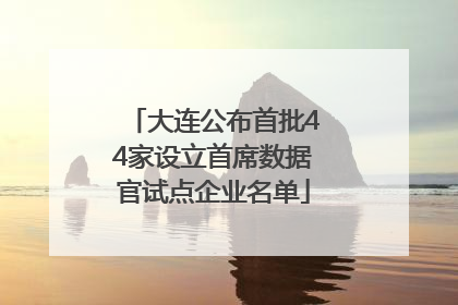 大连公布首批44家设立首席数据官试点企业名单