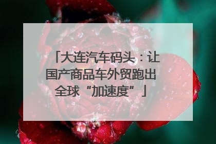 大连汽车码头：让国产商品车外贸跑出全球“加速度”