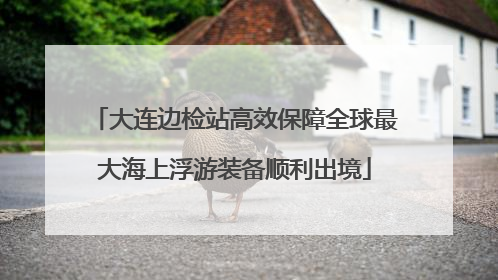 大连边检站高效保障全球最大海上浮游装备顺利出境