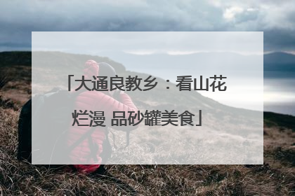 大通良教乡：看山花烂漫 品砂罐美食