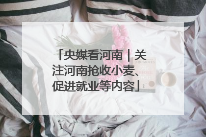 央媒看河南｜关注河南抢收小麦、促进就业等内容