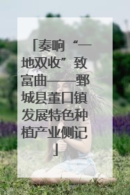 奏响“一地双收”致富曲——鄄城县董口镇发展特色种植产业侧记