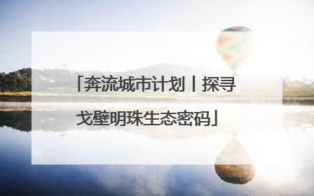 奔流城市计划丨探寻戈壁明珠生态密码