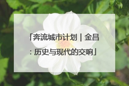奔流城市计划｜金昌：历史与现代的交响