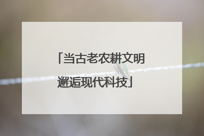 当古老农耕文明邂逅现代科技