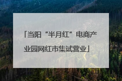 当阳“半月红”电商产业园网红市集试营业