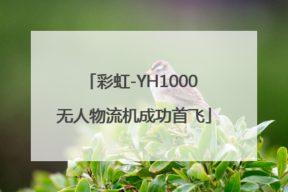 彩虹-YH1000无人物流机成功首飞