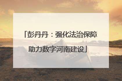 彭丹丹：强化法治保障 助力数字河南建设