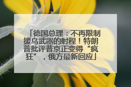 德国总理：不再限制援乌武器的射程！特朗普批评普京正变得“疯狂”，俄方最新回应