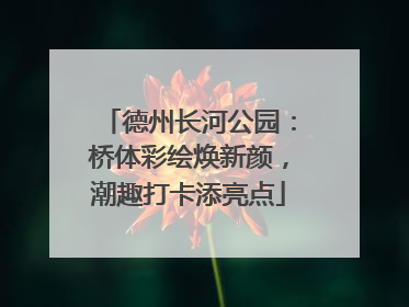 德州长河公园：桥体彩绘焕新颜，潮趣打卡添亮点