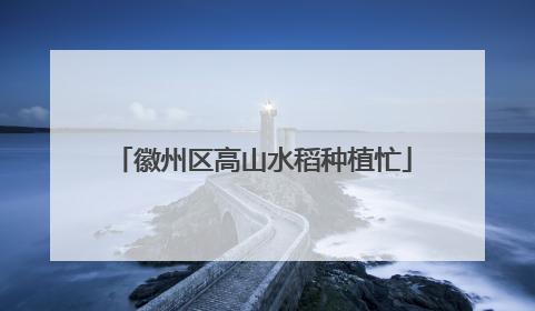 徽州区高山水稻种植忙
