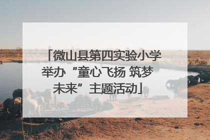 微山县第四实验小学举办“童心飞扬 筑梦未来”主题活动