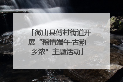 微山县傅村街道开展“粽情端午·古韵乡浓”主题活动