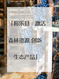 将乐县：激活森林资源 创新生态产品