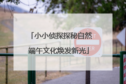 小小侦探探秘自然 端午文化焕发新光