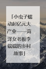 小虫子蠕动起亿元大产业——菏泽女老板李端端的乡村故事