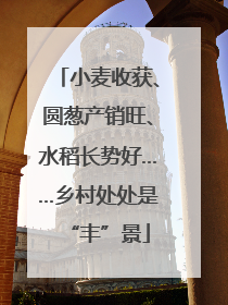 小麦收获、圆葱产销旺、水稻长势好……乡村处处是“丰”景