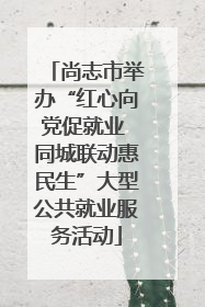 尚志市举办“红心向党促就业 同城联动惠民生”大型公共就业服务活动