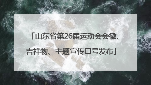 山东省第26届运动会会徽、吉祥物、主题宣传口号发布