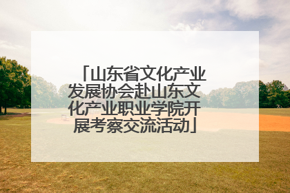 山东省文化产业发展协会赴山东文化产业职业学院开展考察交流活动