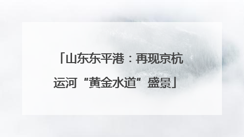 山东东平港：再现京杭运河“黄金水道”盛景