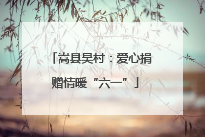 嵩县吴村：爱心捐赠情暖“六一”