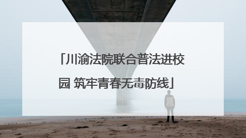 川渝法院联合普法进校园 筑牢青春无毒防线