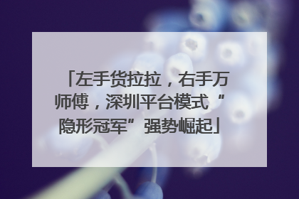 左手货拉拉，右手万师傅，深圳平台模式“隐形冠军”强势崛起