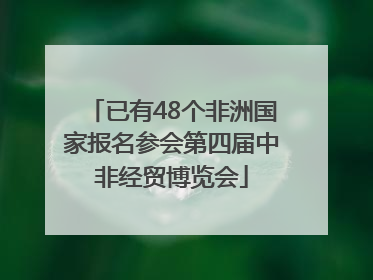 已有48个非洲国家报名参会第四届中非经贸博览会
