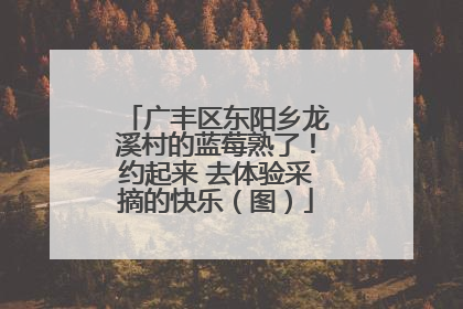 广丰区东阳乡龙溪村的蓝莓熟了！约起来 去体验采摘的快乐（图）