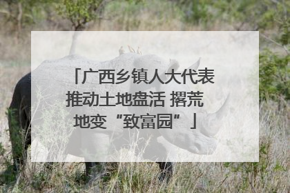 广西乡镇人大代表推动土地盘活 撂荒地变“致富园”