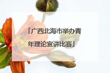 广西北海市举办青年理论宣讲比赛