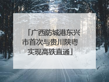 广西防城港东兴市首次与贵川陕粤实现高铁直通
