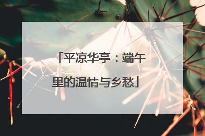 平凉华亭：端午里的温情与乡愁