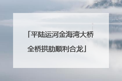 平陆运河金海湾大桥全桥拱肋顺利合龙
