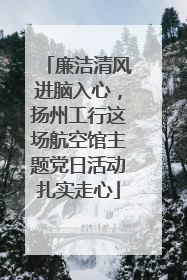 廉洁清风进脑入心，扬州工行这场航空馆主题党日活动扎实走心