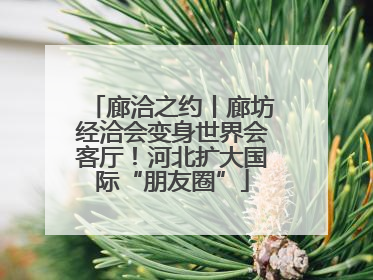 廊洽之约丨廊坊经洽会变身世界会客厅！河北扩大国际“朋友圈”
