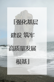强化基层建设 筑牢高质量发展根基