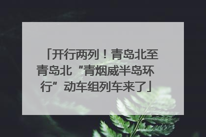 开行两列！青岛北至青岛北“青烟威半岛环行”动车组列车来了