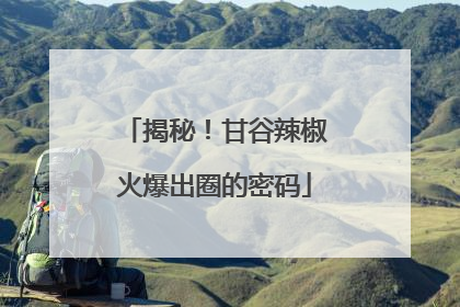 揭秘！甘谷辣椒火爆出圈的密码