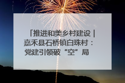 推进和美乡村建设｜嘉禾县石桥镇白珠村：党建引领破“空”局 乡贤聚力绘就新图景