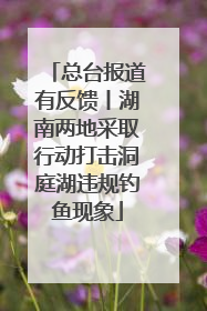 总台报道有反馈丨湖南两地采取行动打击洞庭湖违规钓鱼现象