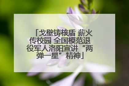 戈壁铸核盾 薪火传校园 全国模范退役军人洛阳宣讲“两弹一星”精神