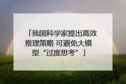 我国科学家提出高效推理策略 可避免大模型“过度思考”