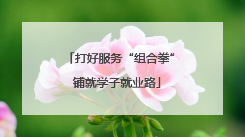 打好服务“组合拳” 铺就学子就业路
