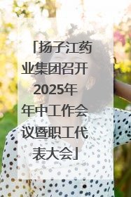 扬子江药业集团召开2025年年中工作会议暨职工代表大会