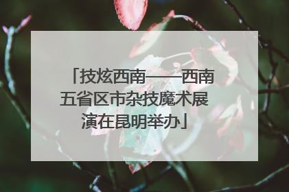技炫西南——西南五省区市杂技魔术展演在昆明举办