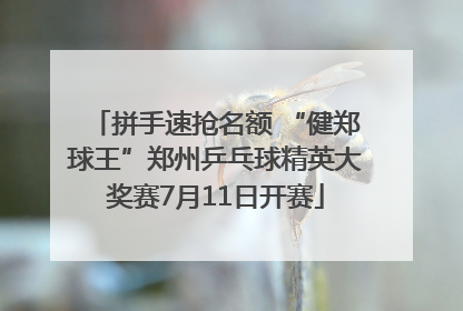 拼手速抢名额 “健郑球王”郑州乒乓球精英大奖赛7月11日开赛